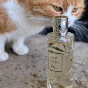 Photo by anastasiagurschi86