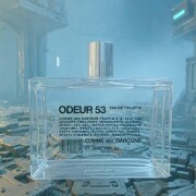 Odeur 53 Comme des Garcons perfume - a fragrance for women and men