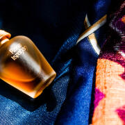 Photo by Lev Izhitca