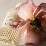 Photo by Toomuchlily