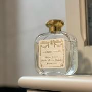 Angeli di Firenze Santa Maria Novella perfume - a fragrance