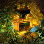 Photo by fabrice1977