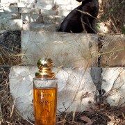 So Pretty Cartier perfume - a fragrância Feminino 1995