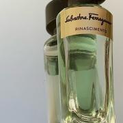 Rinascimento Salvatore Ferragamo perfume - a fragrance for women and ...