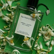 Néroli Amara Van Cleef & Arpels 香水- 一款2018年中性香水