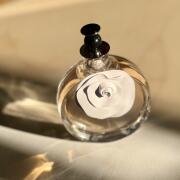 Photo by Fereshte.roshan