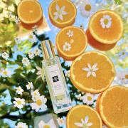 Orange Blossom Jo Malone London perfume a fragrance for women