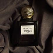 vindruer Flagermus Tilføj til Ambre Gris Pierre Balmain perfume - a fragrance for women 2008