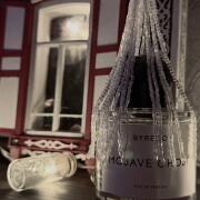 Photo by Betelgeuseir