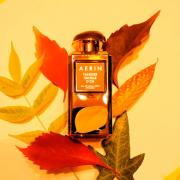 Tangier Vanille D 039 Or Aerin Lauder perfume a fragrance