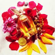 Pikovaya Dama 2018 Xerjoff perfume - a fragrance for women