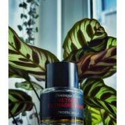Vetiver Extraordinaire Frederic Malle cologne - a fragrance