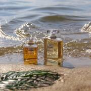 CHANEL N°5 Eau Première 香水 Chanel No 5 Eau Premiere (2015) Chanel perfume - a fragrance