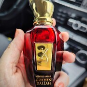 Golden Dallah Xerjoff perfume - a fragrance for women and men 2018