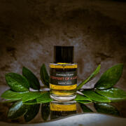 Portrait of a Lady Frederic Malle perfume - a fragrance for Portrait of a Lady Frederic Malle perfume - a fragrance for