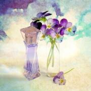 Photo by Лейка@@@