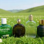 Photo by Falsterbolt