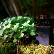 Bvlgari Man In Black Bvlgari cologne - a fragrance for men 2014