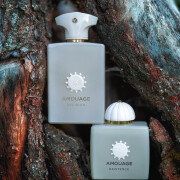 Decision Amouage 香水- 一款2025年新的中性香水