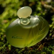 Nature Yves Rocher 香水- 一款1993年女用香水