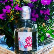 Photo by SenteurduJour