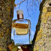 Hermès Jour d'Hermès ABSOLU 85ml Jour d'Hermès Absolu Eau de parfum - 2.87 fl.oz | Hermès USA