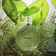 Chance Eau Fraiche Chanel perfume - a fragrance for women 2007