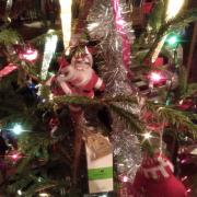 Photo by Vibia Sabina