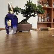 Torino21 Xerjoff perfume - a fragrance for women and men 2021