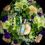 Photo by Engel desTodes