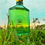 Wild Vetiver Creed 香水 - 2026年のユニセックス 新着フレグランス