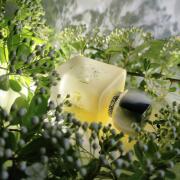 Photo by fabrice1977