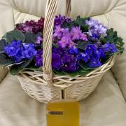 Photo by Cleverwoman