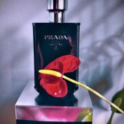 Prada L'Homme Intense Prada colonie - un parfum de barbati 2017