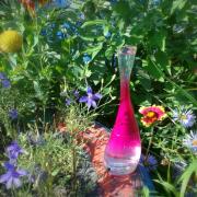 ケンゾーアムール メイクミーフライ 40ml Kenzo Amour Make Me Fly Kenzo perfume - a fragrance for
