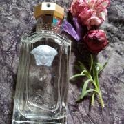 ZuidAmerika Vernauwd aanwijzing The Dreamer Versace cologne - a fragrance for men