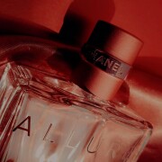 Allure Eau de Parfum Chanel perfume - a fragrance for women 1999