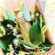 Escada en Fleurs Escada perfume - a fragrance for women 1997