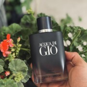 Acqua di Giò Parfum Giorgio Armani 古龙水- 一款2023年男用香水