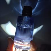 Sauvage Dior cologne - a fragrance for men 2015