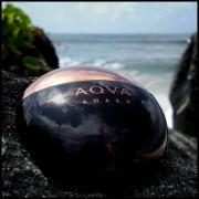 Bvlgari aqva outlet amara fragrantica