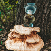 moschino toy 2 pun miris