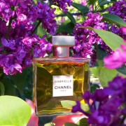 Gabrielle Chanel perfume - a fragrance for women 2017
