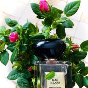 Rose Milano Giorgio Armani perfume - a new fragrance for women 2020