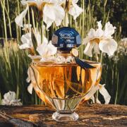 [国内正規品] Shalimar Eau de Parfum 50ml Shalimar ⋅ Eau de Parfum ⋅ GUERLAIN
