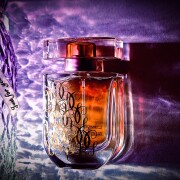 L'Instant de Guerlain Eau de Noel Iris Millesime Guerlain parfum