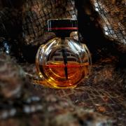 le baiser du dragon cartier fragrantica