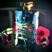 Elysium Pour Homme Eau Intense Roja Dove 古龙水- 一款2023年男用香水