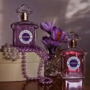 Insolence discount edp fragrantica