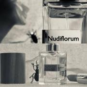 Nudiflorum Nasomatto perfume - a fragrance for women and men 2018